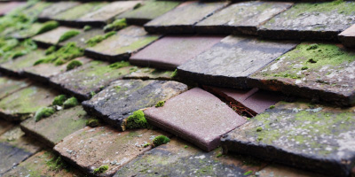 Caer Bryn roof repair costs